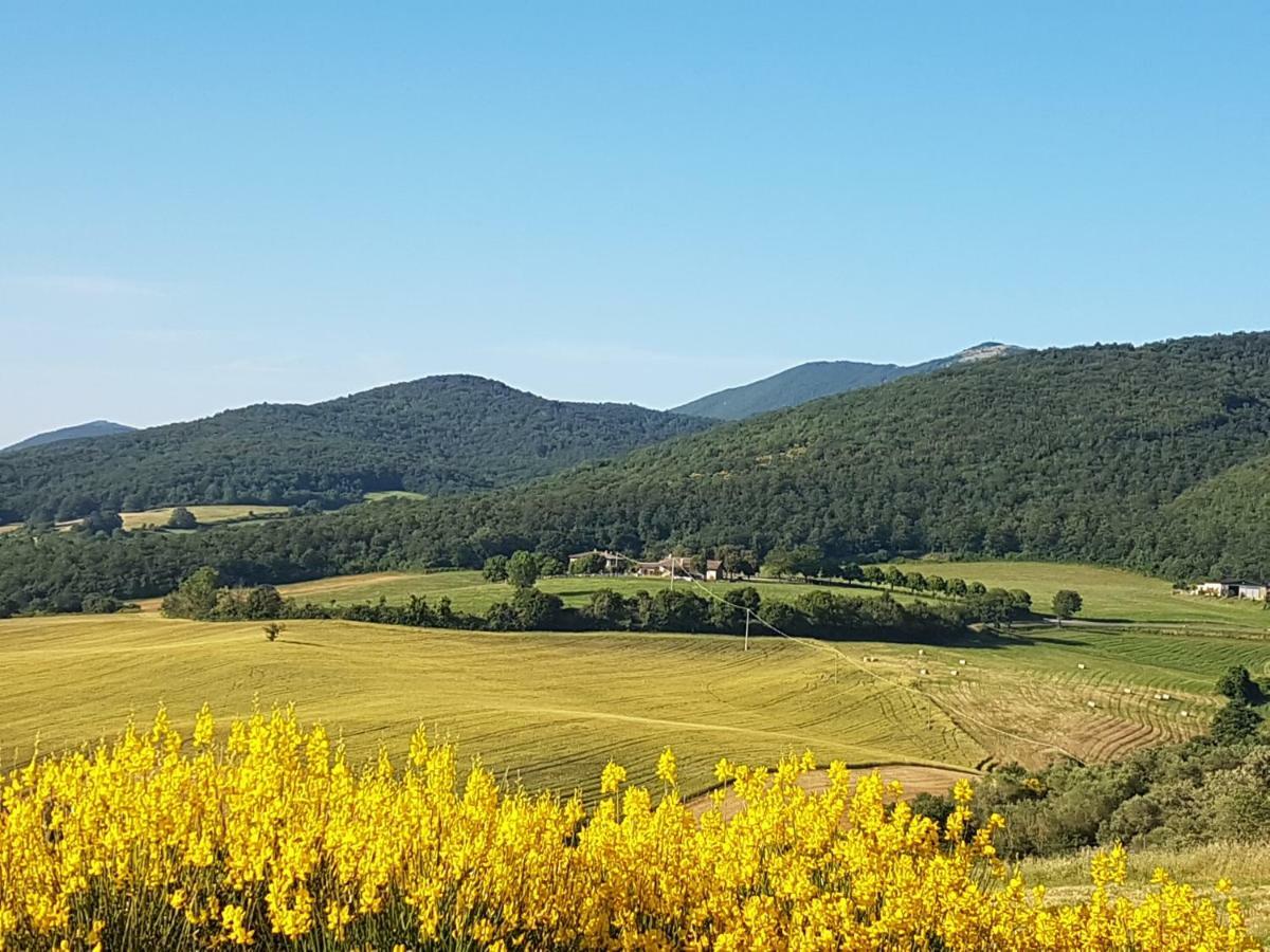 Cerqueti Agriturismo Villa Baschi ภายนอก รูปภาพ